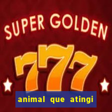 animal que atingi 230 decibeis